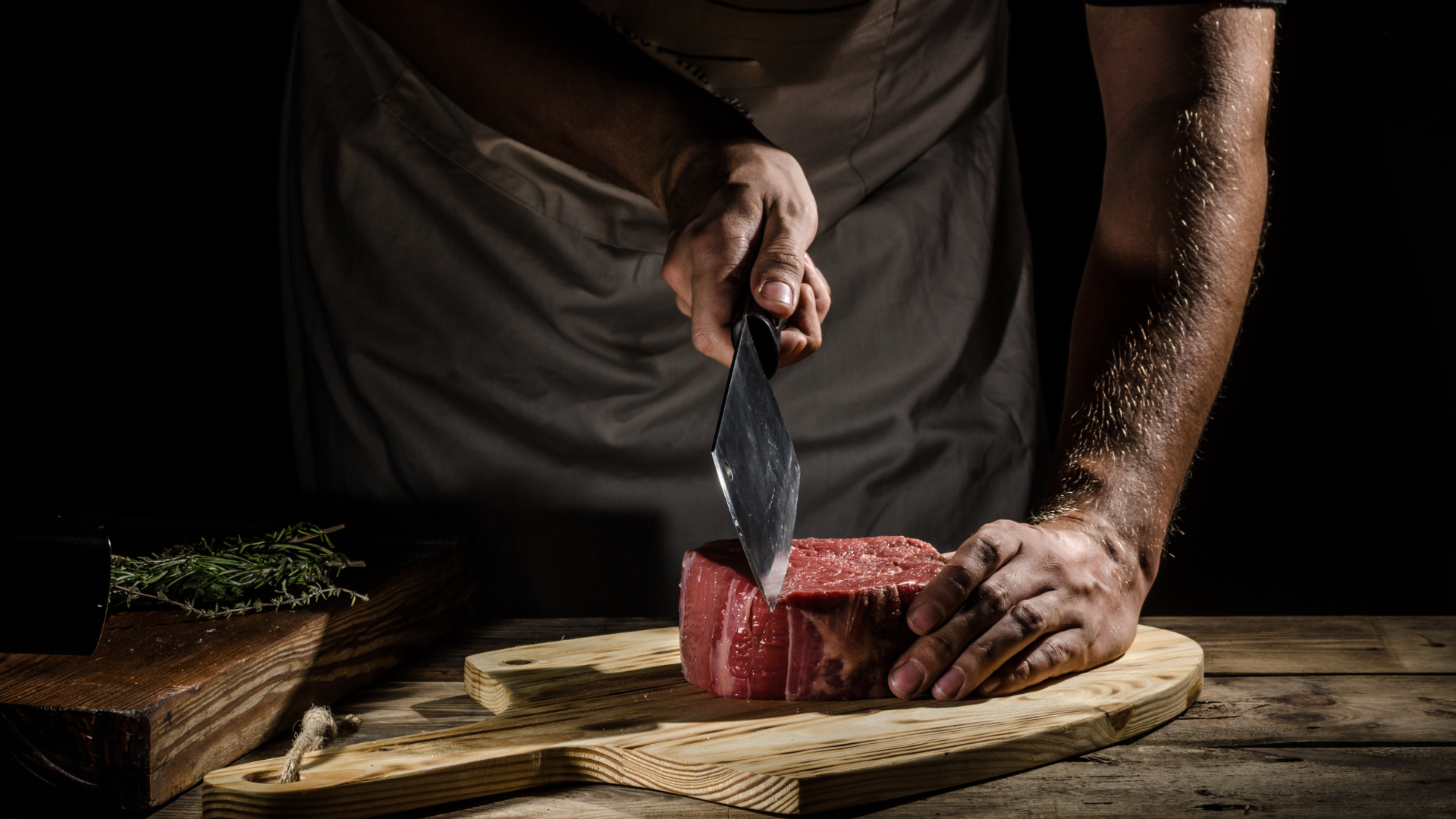 alimentation carnivore